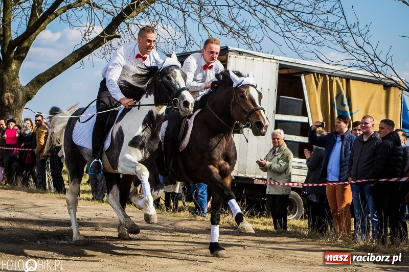 Zdjęcie w galerii na portalu naszraciborz.pl: Wyścigi konne na finał procesji w Sudole wiadomości z regionu