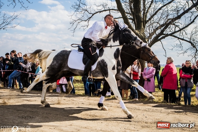 Zdjęcie w galerii na portalu naszraciborz.pl: Wyścigi konne na finał procesji w Sudole wiadomości z regionu