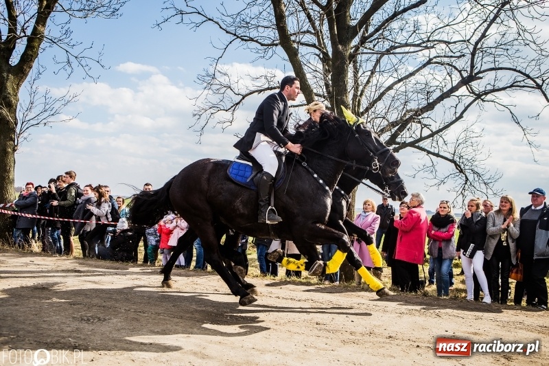 Zdjęcie w galerii na portalu naszraciborz.pl: Wyścigi konne na finał procesji w Sudole wiadomości z regionu