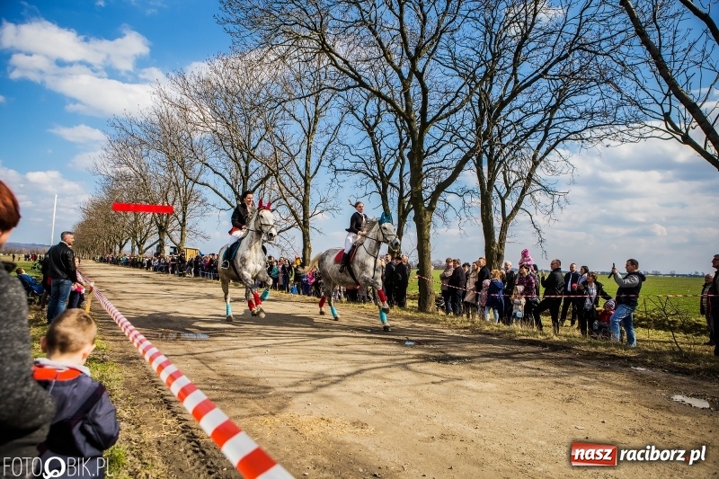 Zdjęcie w galerii na portalu naszraciborz.pl: Wyścigi konne na finał procesji w Sudole wiadomości z regionu