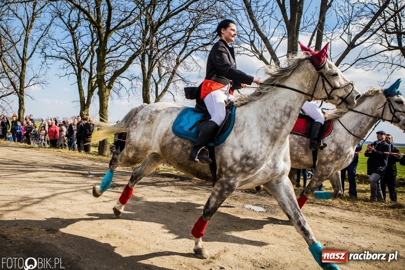 Zdjęcie w galerii na portalu naszraciborz.pl: Wyścigi konne na finał procesji w Sudole wiadomości z regionu
