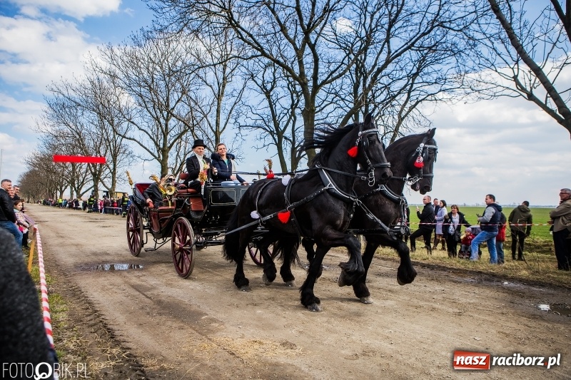 Zdjęcie w galerii na portalu naszraciborz.pl: Wyścigi konne na finał procesji w Sudole wiadomości z regionu