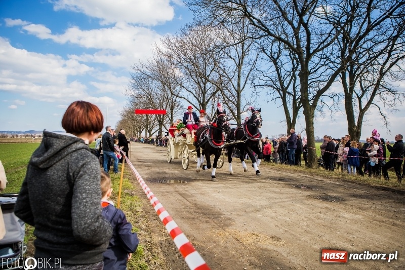 Zdjęcie w galerii na portalu naszraciborz.pl: Wyścigi konne na finał procesji w Sudole wiadomości z regionu