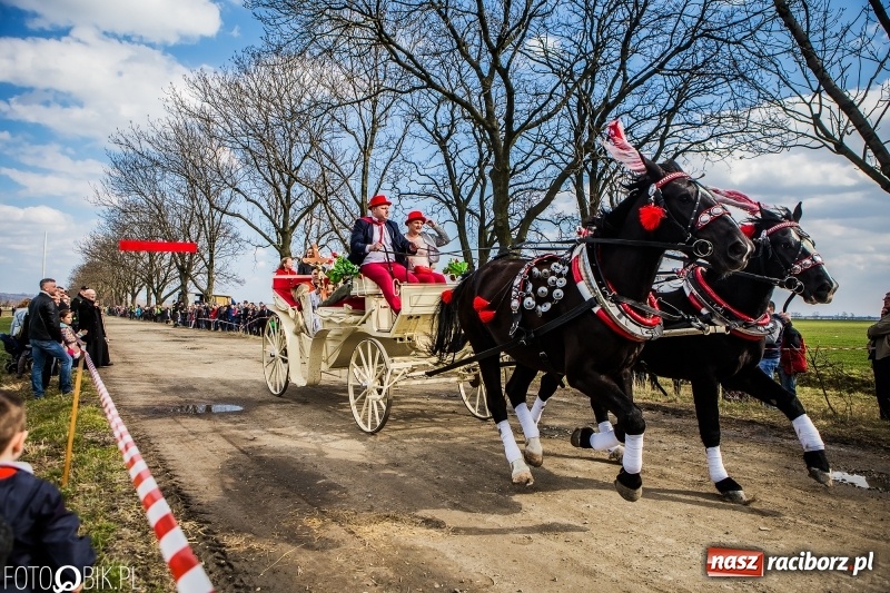 Zdjęcie w galerii na portalu naszraciborz.pl: Wyścigi konne na finał procesji w Sudole wiadomości z regionu