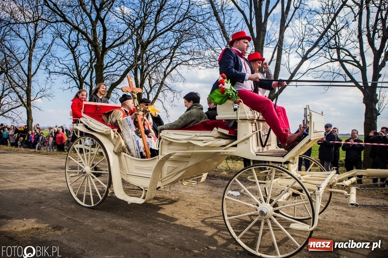 Zdjęcie w galerii na portalu naszraciborz.pl: Wyścigi konne na finał procesji w Sudole wiadomości z regionu