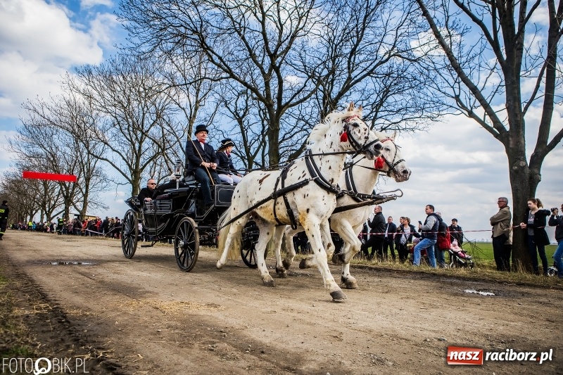 Zdjęcie w galerii na portalu naszraciborz.pl: Wyścigi konne na finał procesji w Sudole wiadomości z regionu