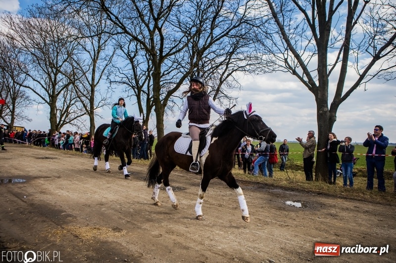 Zdjęcie w galerii na portalu naszraciborz.pl: Wyścigi konne na finał procesji w Sudole wiadomości z regionu