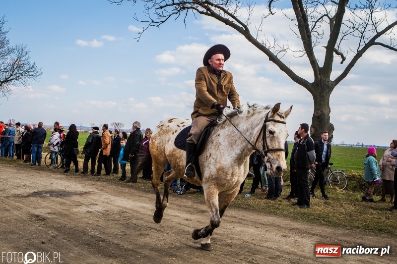 Zdjęcie w galerii na portalu naszraciborz.pl: Wyścigi konne na finał procesji w Sudole wiadomości z regionu