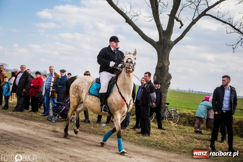 Zdjęcie w galerii na portalu naszraciborz.pl: Wyścigi konne na finał procesji w Sudole wiadomości z regionu
