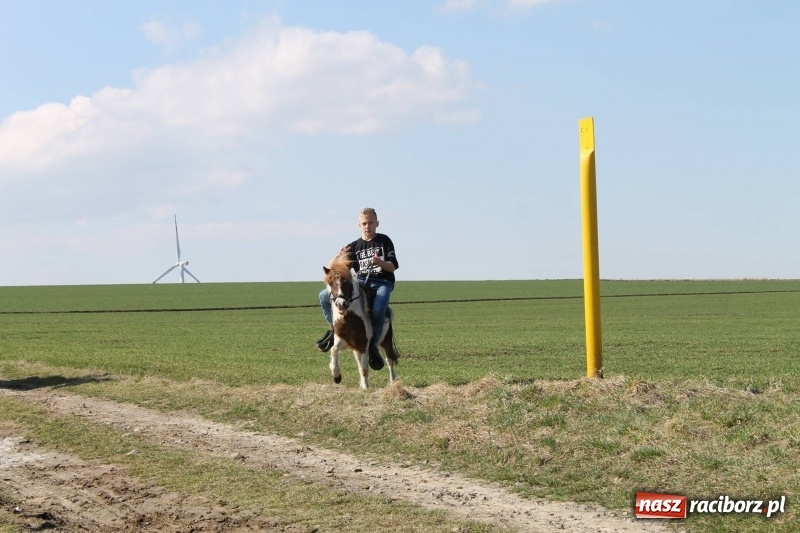 Zdjęcie w galerii na portalu naszraciborz.pl: Bieńkowicka procesja z biskupem Rudolfem wiadomości z regionu