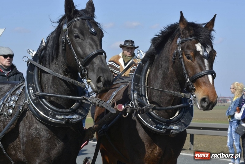 Zdjęcie w galerii na portalu naszraciborz.pl: Wielkanocna procesja konna w Raciborzu-Sudole wiadomości z regionu