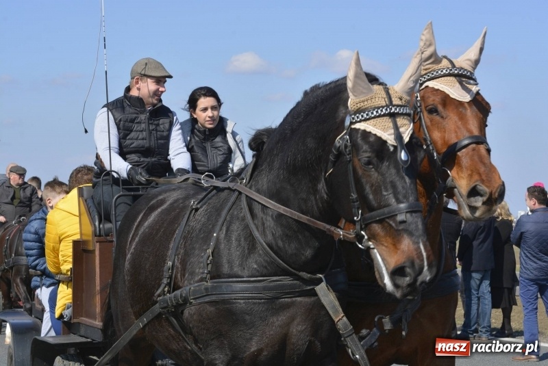 Zdjęcie w galerii na portalu naszraciborz.pl: Wielkanocna procesja konna w Raciborzu-Sudole wiadomości z regionu