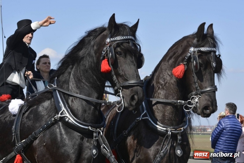 Zdjęcie w galerii na portalu naszraciborz.pl: Wielkanocna procesja konna w Raciborzu-Sudole wiadomości z regionu