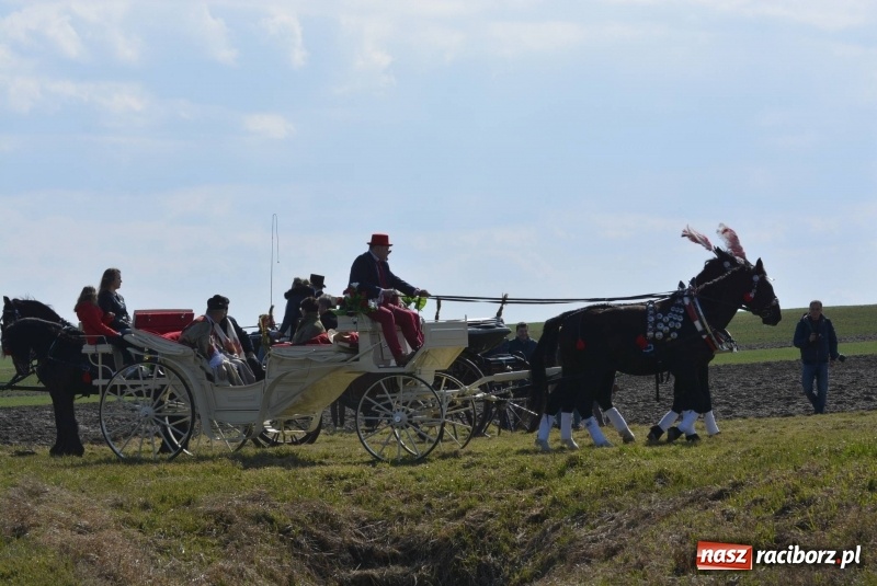 Zdjęcie w galerii na portalu naszraciborz.pl: Wielkanocna procesja konna w Raciborzu-Sudole wiadomości z regionu