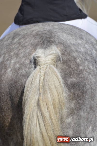 Zdjęcie w galerii na portalu naszraciborz.pl: Wielkanocna procesja konna w Raciborzu-Sudole wiadomości z regionu