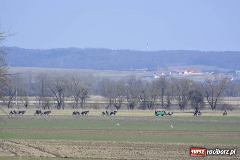 Zdjęcie w galerii na portalu naszraciborz.pl: Wielkanocna procesja konna w Raciborzu-Sudole wiadomości z regionu