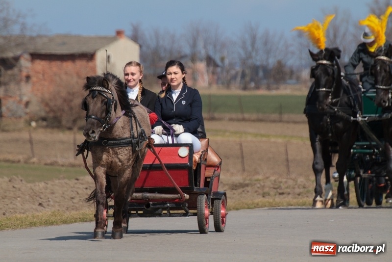 Zdjęcie w galerii na portalu naszraciborz.pl: Konny Festyn Wielkanocny w Pietrowicach Wielkich FOTO i WIDEO wiadomości z regionu