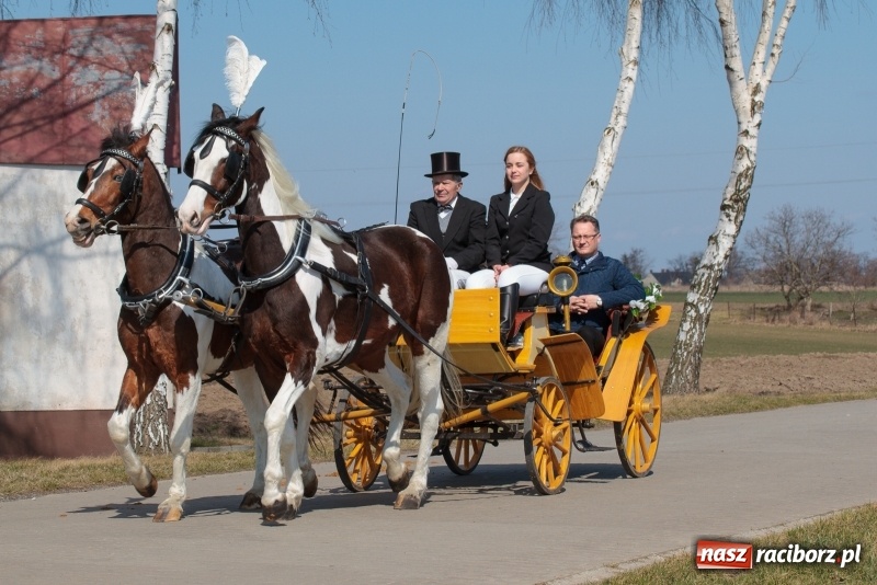 Zdjęcie w galerii na portalu naszraciborz.pl: Konny Festyn Wielkanocny w Pietrowicach Wielkich FOTO i WIDEO wiadomości z regionu