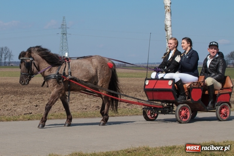 Zdjęcie w galerii na portalu naszraciborz.pl: Konny Festyn Wielkanocny w Pietrowicach Wielkich FOTO i WIDEO wiadomości z regionu