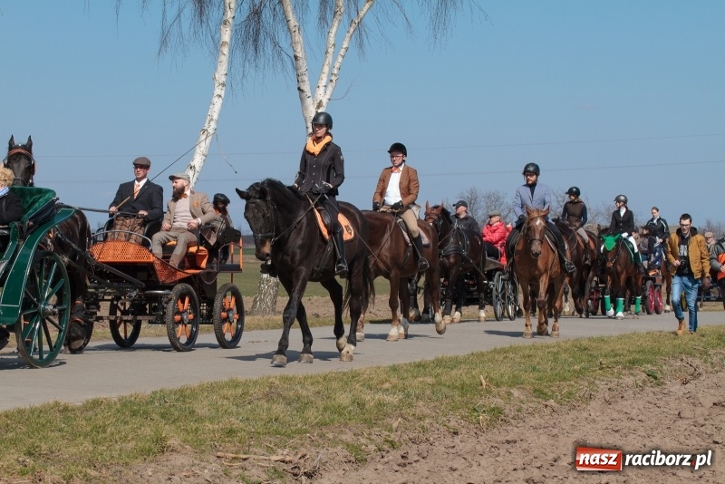 Zdjęcie w galerii na portalu naszraciborz.pl: Konny Festyn Wielkanocny w Pietrowicach Wielkich FOTO i WIDEO wiadomości z regionu