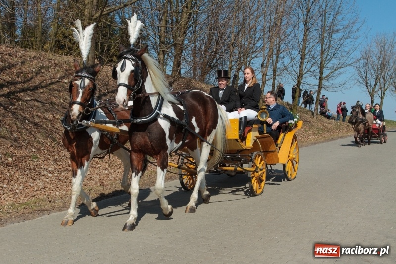 Zdjęcie w galerii na portalu naszraciborz.pl: Konny Festyn Wielkanocny w Pietrowicach Wielkich FOTO i WIDEO wiadomości z regionu