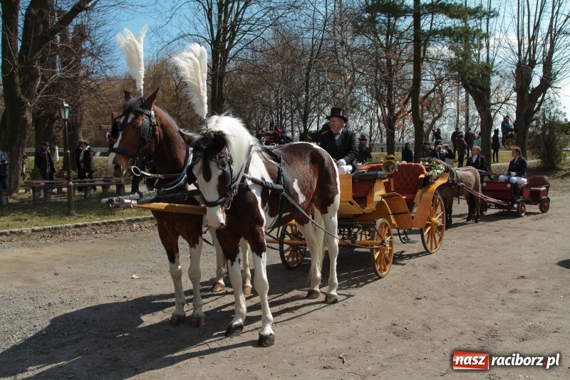 Zdjęcie w galerii na portalu naszraciborz.pl: Konny Festyn Wielkanocny w Pietrowicach Wielkich FOTO i WIDEO wiadomości z regionu