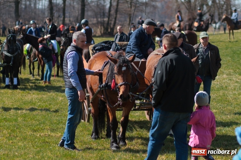 Zdjęcie w galerii na portalu naszraciborz.pl: Konny Festyn Wielkanocny w Pietrowicach Wielkich FOTO i WIDEO wiadomości z regionu