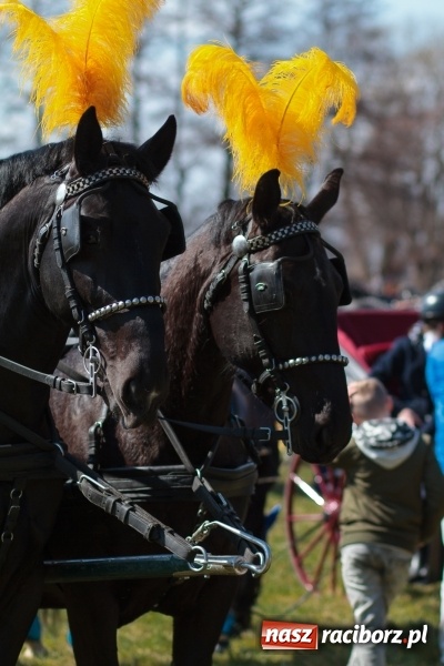 Zdjęcie w galerii na portalu naszraciborz.pl: Konny Festyn Wielkanocny w Pietrowicach Wielkich FOTO i WIDEO wiadomości z regionu
