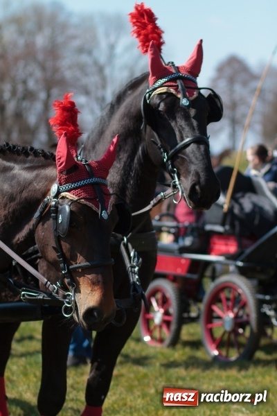 Zdjęcie w galerii na portalu naszraciborz.pl: Konny Festyn Wielkanocny w Pietrowicach Wielkich FOTO i WIDEO wiadomości z regionu
