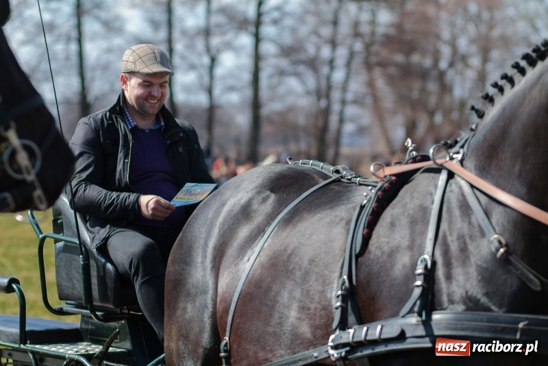 Zdjęcie w galerii na portalu naszraciborz.pl: Konny Festyn Wielkanocny w Pietrowicach Wielkich FOTO i WIDEO wiadomości z regionu