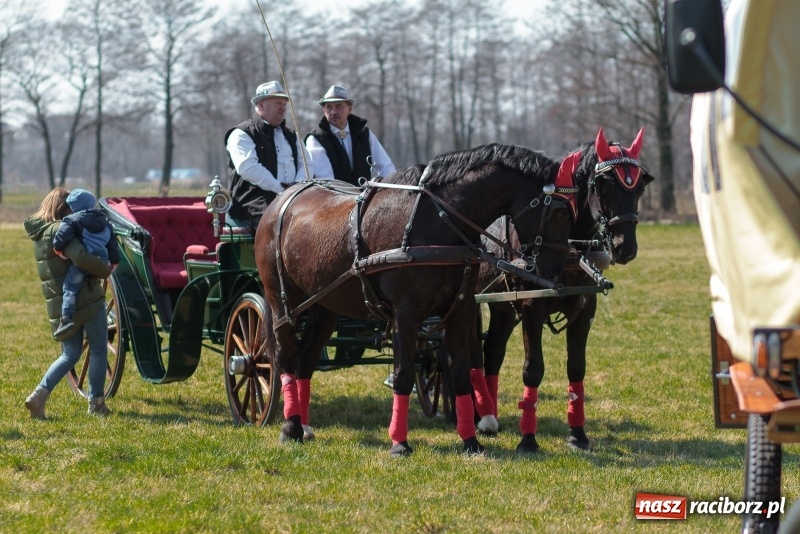 Zdjęcie w galerii na portalu naszraciborz.pl: Konny Festyn Wielkanocny w Pietrowicach Wielkich FOTO i WIDEO wiadomości z regionu