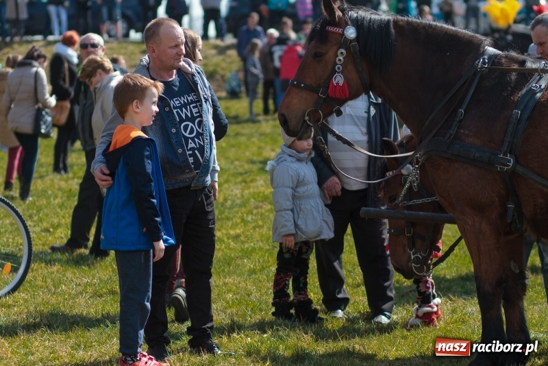 Zdjęcie w galerii na portalu naszraciborz.pl: Konny Festyn Wielkanocny w Pietrowicach Wielkich FOTO i WIDEO wiadomości z regionu