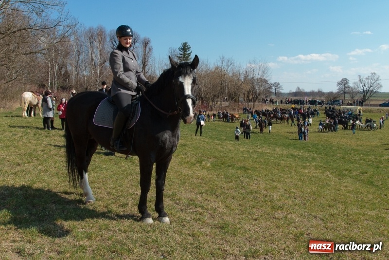 Zdjęcie w galerii na portalu naszraciborz.pl: Konny Festyn Wielkanocny w Pietrowicach Wielkich FOTO i WIDEO wiadomości z regionu