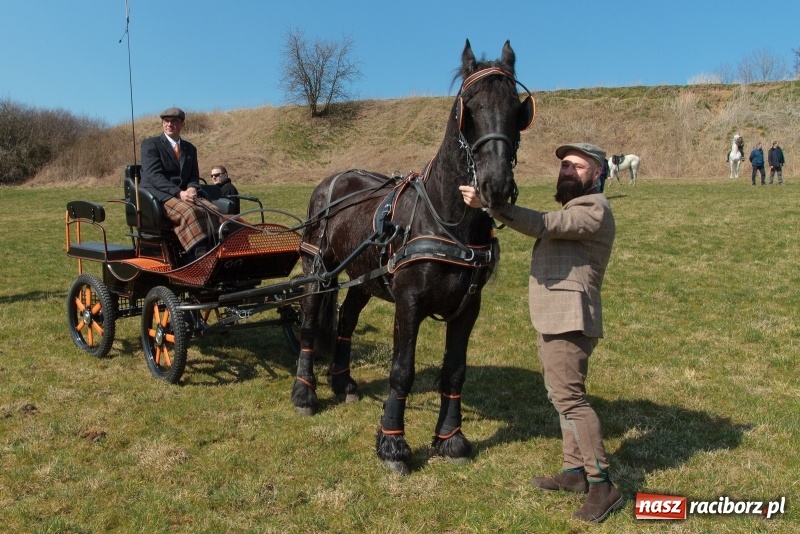 Zdjęcie w galerii na portalu naszraciborz.pl: Konny Festyn Wielkanocny w Pietrowicach Wielkich FOTO i WIDEO wiadomości z regionu