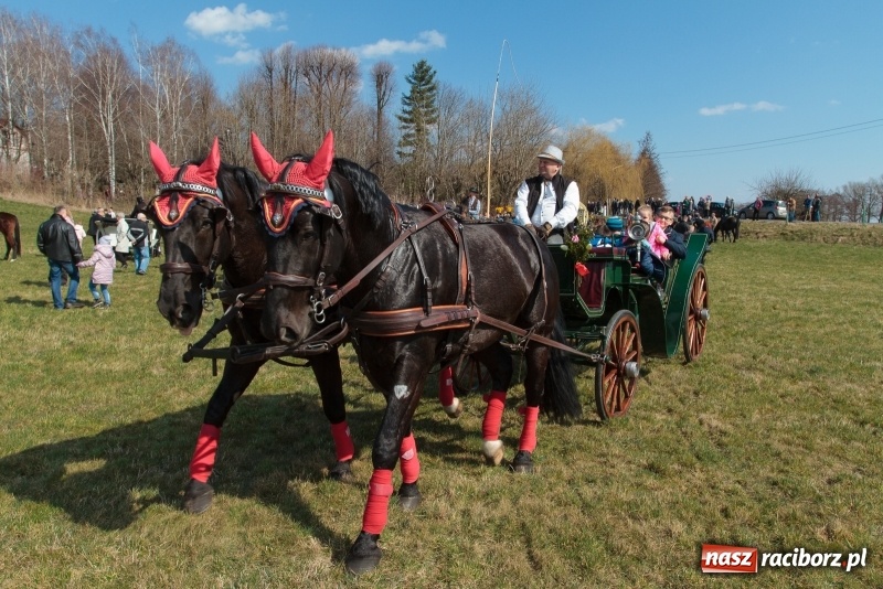 Zdjęcie w galerii na portalu naszraciborz.pl: Konny Festyn Wielkanocny w Pietrowicach Wielkich FOTO i WIDEO wiadomości z regionu