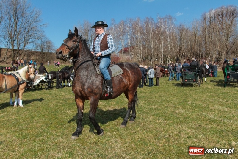 Zdjęcie w galerii na portalu naszraciborz.pl: Konny Festyn Wielkanocny w Pietrowicach Wielkich FOTO i WIDEO wiadomości z regionu