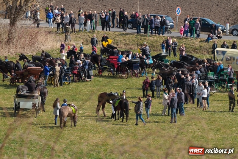 Zdjęcie w galerii na portalu naszraciborz.pl: Konny Festyn Wielkanocny w Pietrowicach Wielkich FOTO i WIDEO wiadomości z regionu