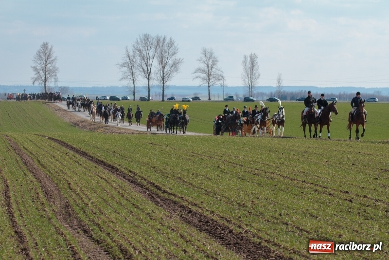 Zdjęcie w galerii na portalu naszraciborz.pl: Konny Festyn Wielkanocny w Pietrowicach Wielkich FOTO i WIDEO wiadomości z regionu