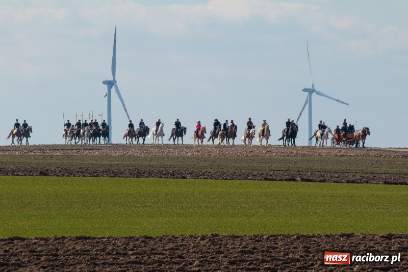Zdjęcie w galerii na portalu naszraciborz.pl: Konny Festyn Wielkanocny w Pietrowicach Wielkich FOTO i WIDEO wiadomości z regionu