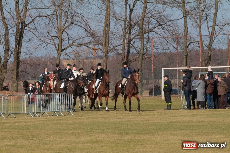 Zdjęcie w galerii na portalu naszraciborz.pl: Konny Festyn Wielkanocny w Pietrowicach Wielkich FOTO i WIDEO wiadomości z regionu