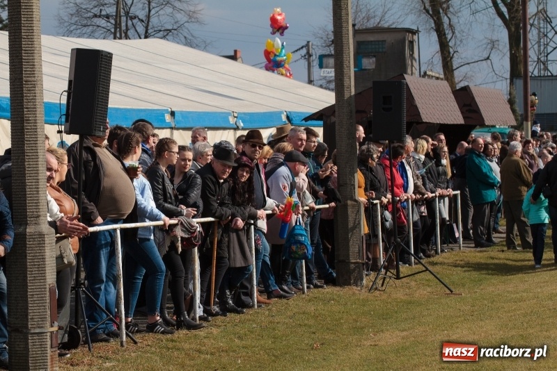 Zdjęcie w galerii na portalu naszraciborz.pl: Konny Festyn Wielkanocny w Pietrowicach Wielkich FOTO i WIDEO wiadomości z regionu