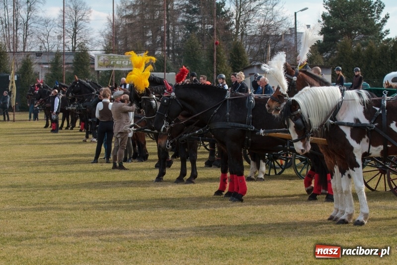 Zdjęcie w galerii na portalu naszraciborz.pl: Konny Festyn Wielkanocny w Pietrowicach Wielkich FOTO i WIDEO wiadomości z regionu
