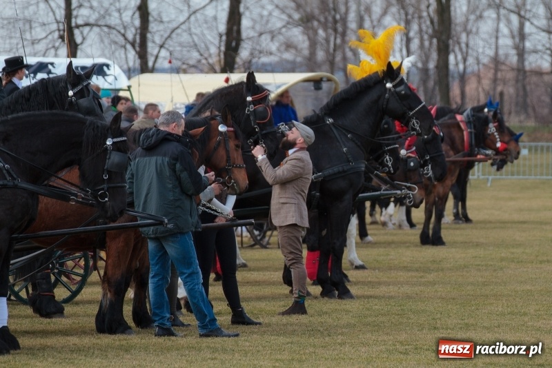 Zdjęcie w galerii na portalu naszraciborz.pl: Konny Festyn Wielkanocny w Pietrowicach Wielkich FOTO i WIDEO wiadomości z regionu