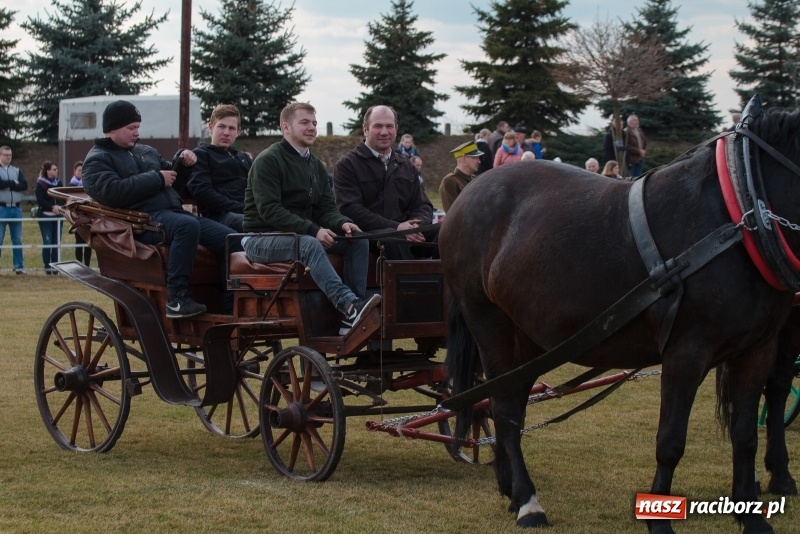 Zdjęcie w galerii na portalu naszraciborz.pl: Konny Festyn Wielkanocny w Pietrowicach Wielkich FOTO i WIDEO wiadomości z regionu