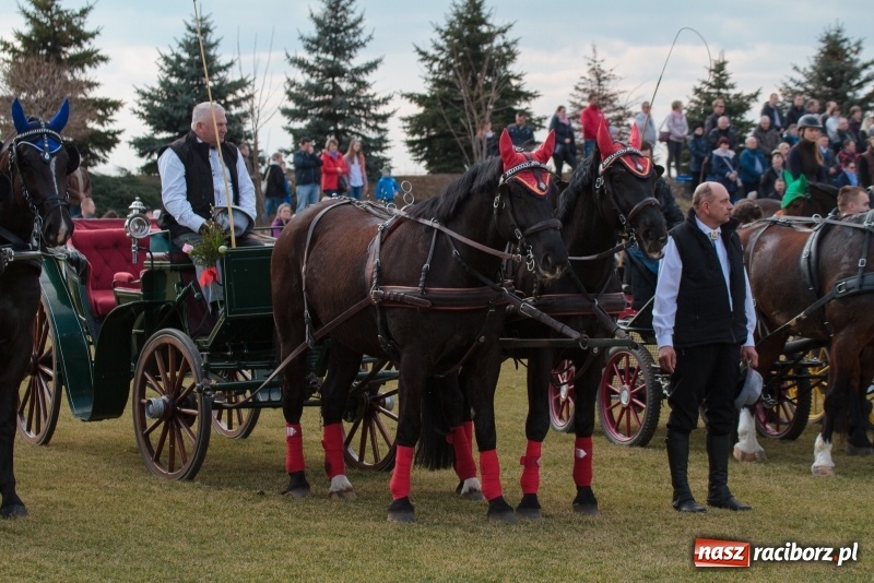 Zdjęcie w galerii na portalu naszraciborz.pl: Konny Festyn Wielkanocny w Pietrowicach Wielkich FOTO i WIDEO wiadomości z regionu