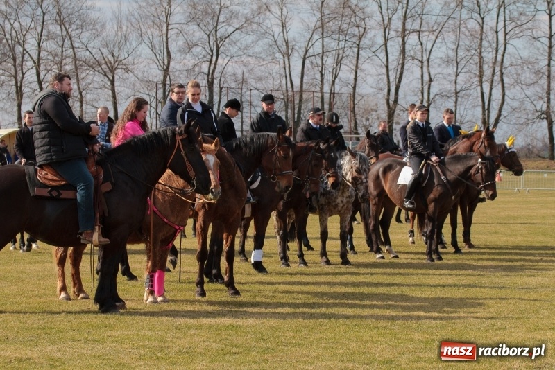 Zdjęcie w galerii na portalu naszraciborz.pl: Konny Festyn Wielkanocny w Pietrowicach Wielkich FOTO i WIDEO wiadomości z regionu
