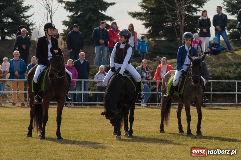 Zdjęcie w galerii na portalu naszraciborz.pl: Konny Festyn Wielkanocny w Pietrowicach Wielkich FOTO i WIDEO wiadomości z regionu