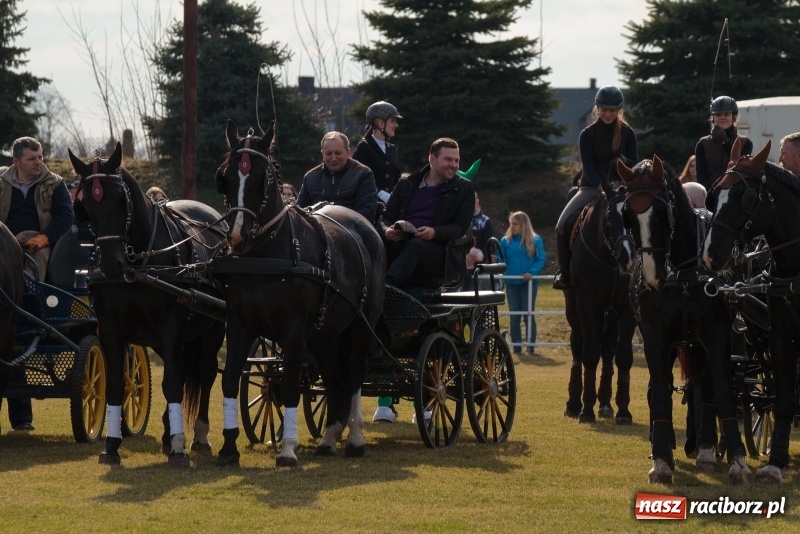 Zdjęcie w galerii na portalu naszraciborz.pl: Konny Festyn Wielkanocny w Pietrowicach Wielkich FOTO i WIDEO wiadomości z regionu