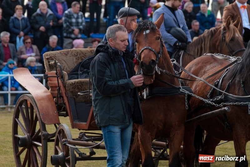 Zdjęcie w galerii na portalu naszraciborz.pl: Konny Festyn Wielkanocny w Pietrowicach Wielkich FOTO i WIDEO wiadomości z regionu