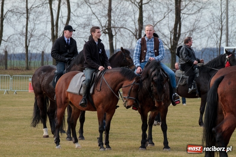 Zdjęcie w galerii na portalu naszraciborz.pl: Konny Festyn Wielkanocny w Pietrowicach Wielkich FOTO i WIDEO wiadomości z regionu